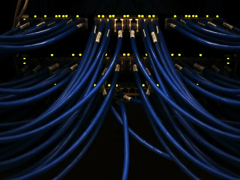 Blue network cables connected to a switch